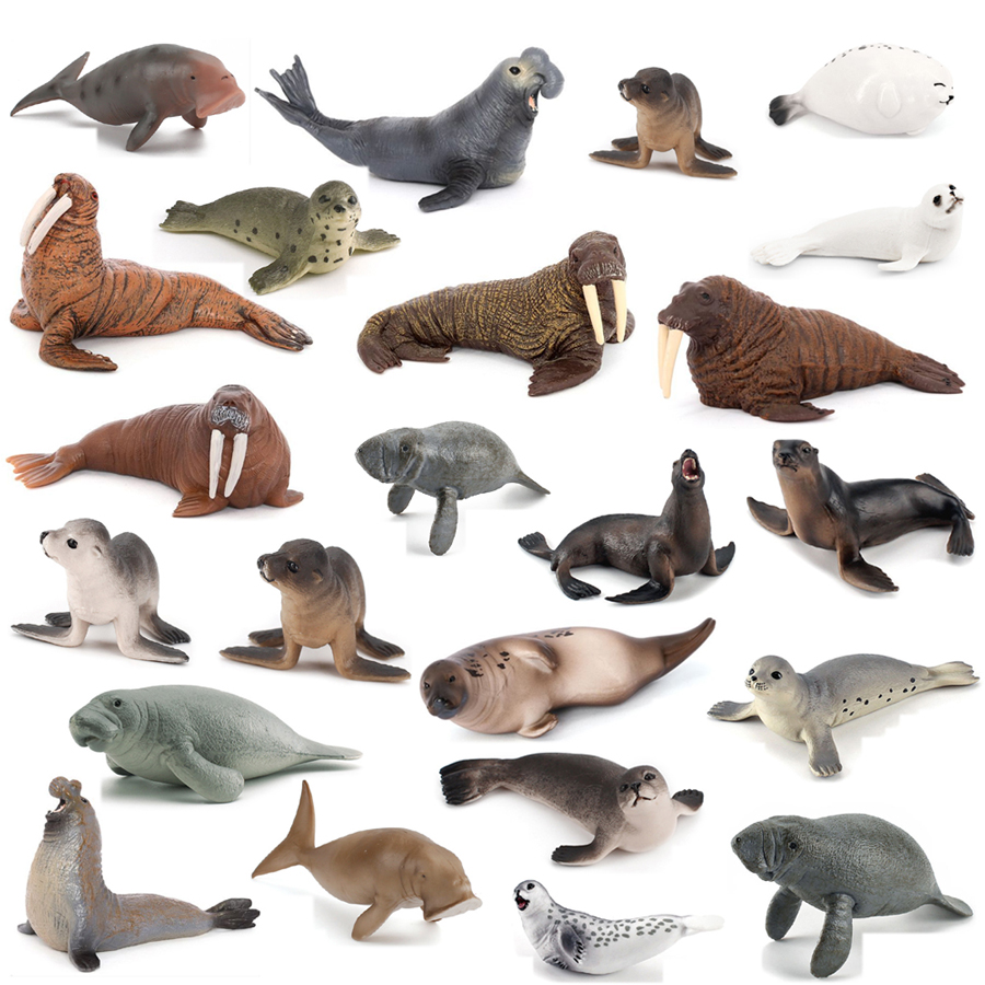 Kids Education Fun - Realistic Dugong Manatee Walrus Sea Lion